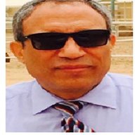 Dr. Elsayed Ibrahim Elagamy