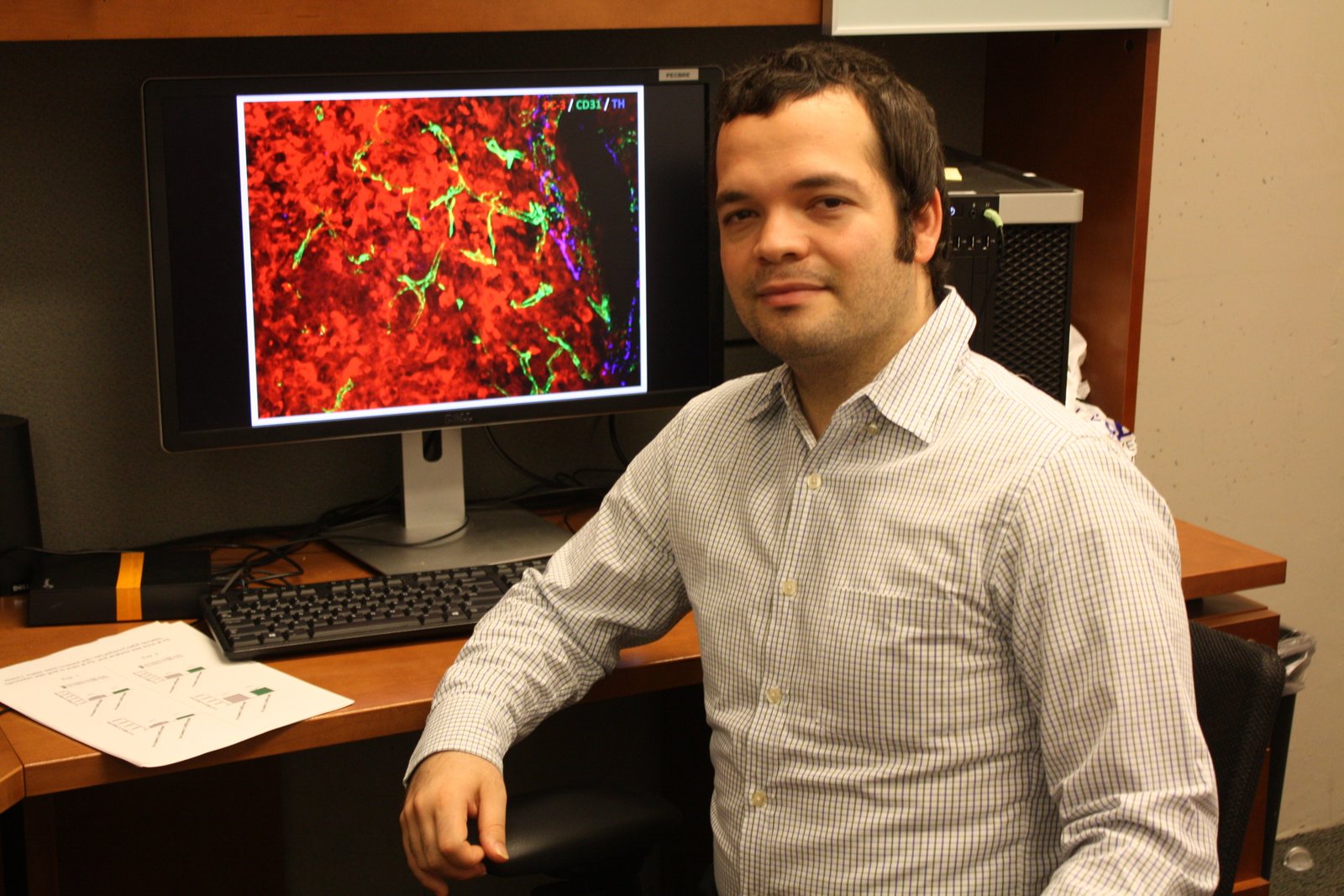 Prof. Alexander Birbrair	