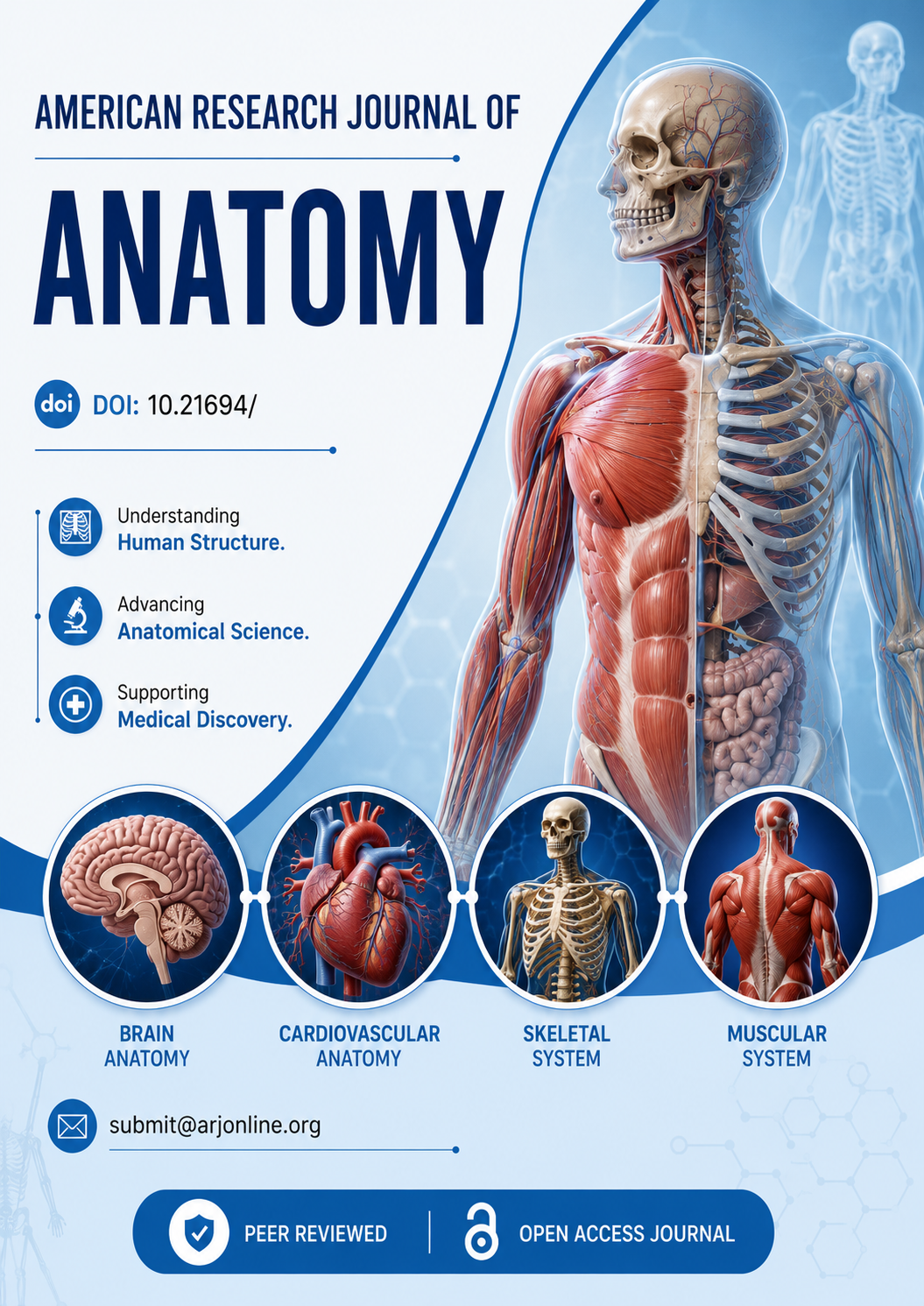 american-research-journal-of-anatomy