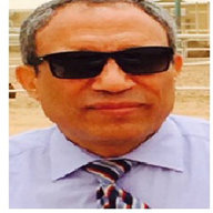 Dr. Elsayed Ibrahim Elagamy